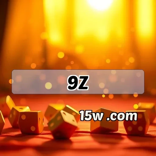9z.com Pagamento